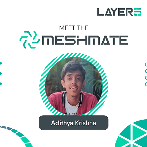 Adithya Krishna