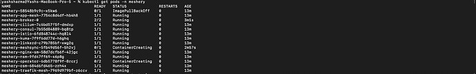 Screenshot 2023-05-16 at 12.43.16 AM