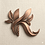 Khushi_Agarwal